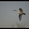 20060421_121